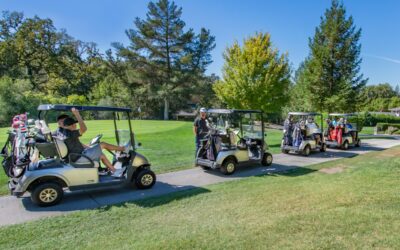 The Importance of Golf Carts Brakes in Parkland