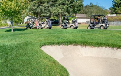 Common Issues for Golf Cart Repair in Parkland